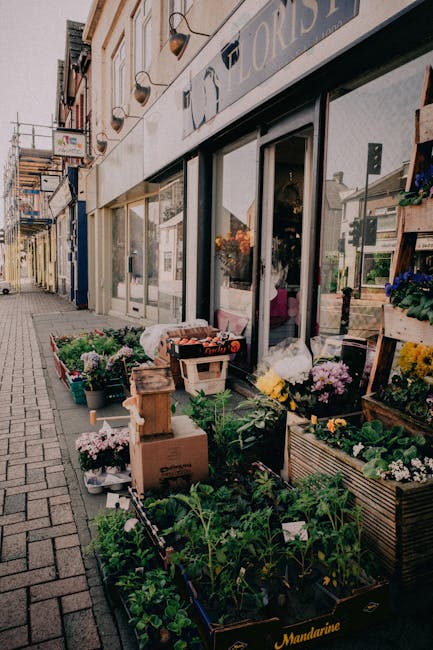 The image depicts the exterior of Dollishill Florist, a local flower shop with a display of fresh floral arrangements and potted plants arranged on the sidewalk in front of the store. The flowers incl