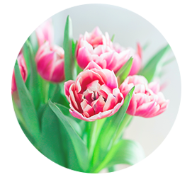 Same day Flowers Dollis Hill 
